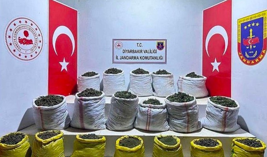 Diyarbakır’da uyuşturucu operasyonu: 603 kilo esrar, 640 bin esrar bitkisi ele geçirildi