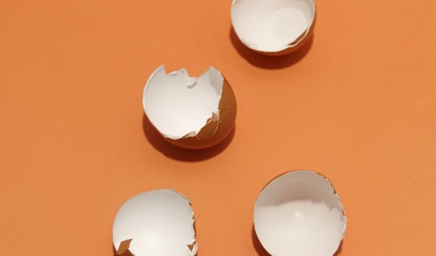 Lityum iyon bataryalar yerini yumurta kabuklarına bırakabilir mi?