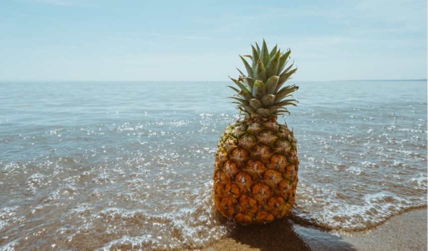 İnsanların bağışıklık sistemi, ananasla aynı ağırlığa sahip
