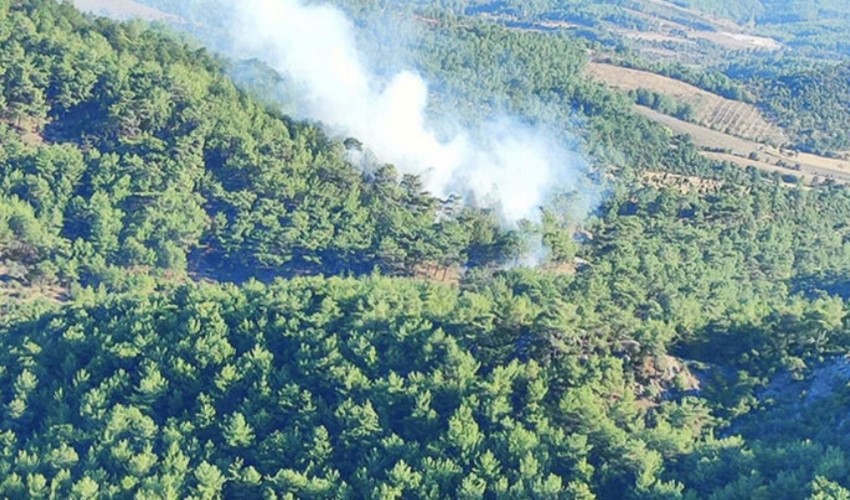 Çanakkale'de orman yangını: Müdahale sürüyor!