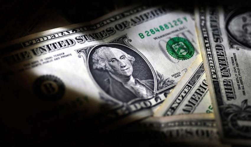 Quanto valgono dollaro, euro e oro il 14 novembre?