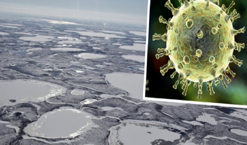 'Küresel ısınma 650 bin yıllık virüsü ortaya çıkartabilir' uyarısı