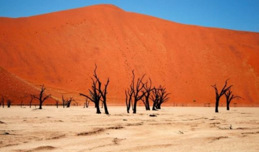 Dünyanın en yaşlı çölü: Namib Çölü