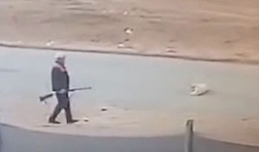 Kırıkkale'de sahipsiz köpeği öldüren şahıs ceza almadı: Adli kontrol şartıyla serbest