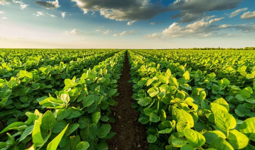 Gli obiettivi di finanza verde sono ben lontani dal necessario
