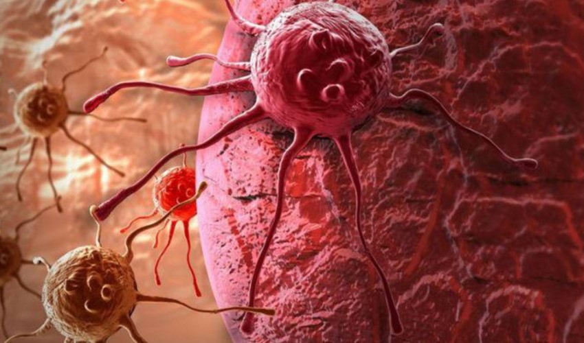 Bilim insanlarından kanser hamlesi: Kanserli hücreleri kendi kendine imha edebilen sistem geliştirdi