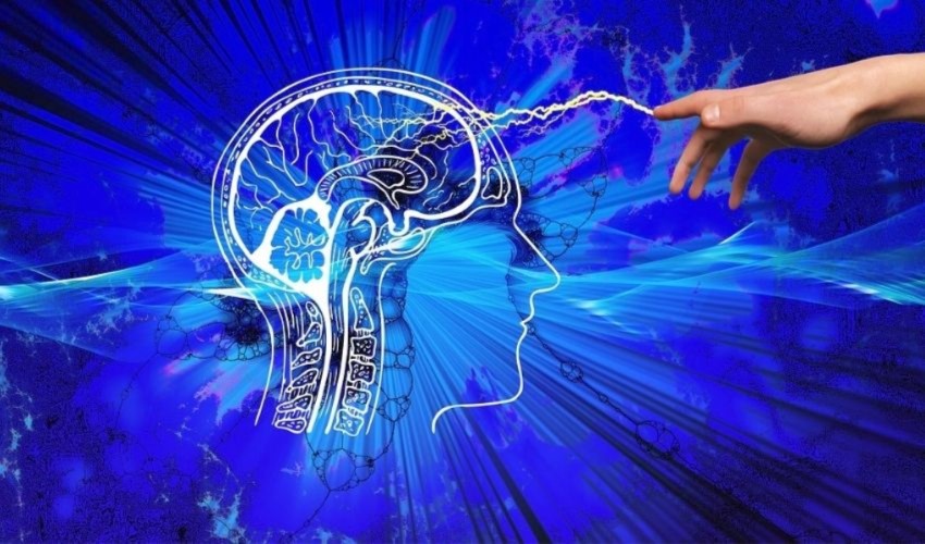 I neurologi ritengono che il cervello non si ristrutturi