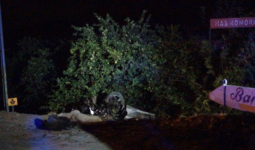 Cani che attraversano la strada causano due incidenti consecutivi