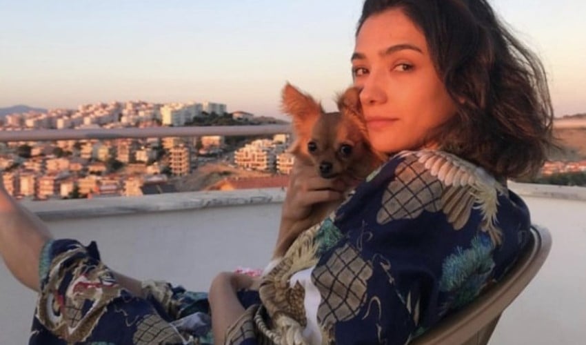 Aybüke Pusat'ın köpeği hayatını kaybetti