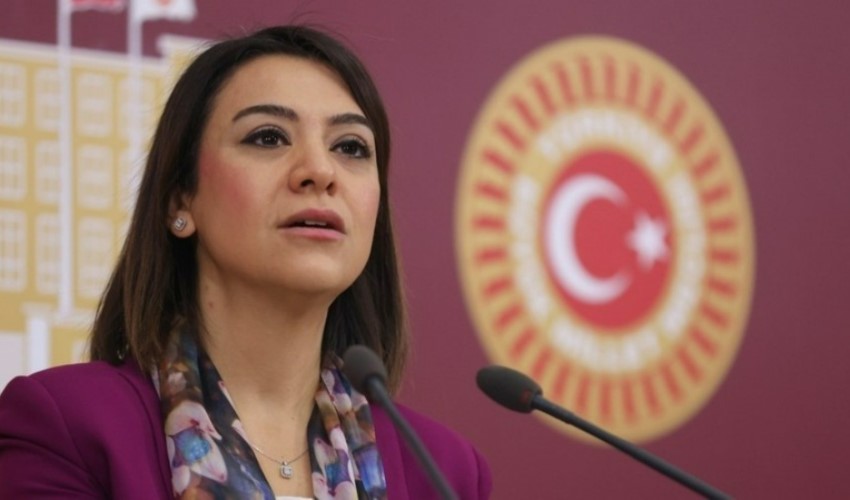 CHP Genel Başkan Yardımcısı Gamze Taşcıer'den 