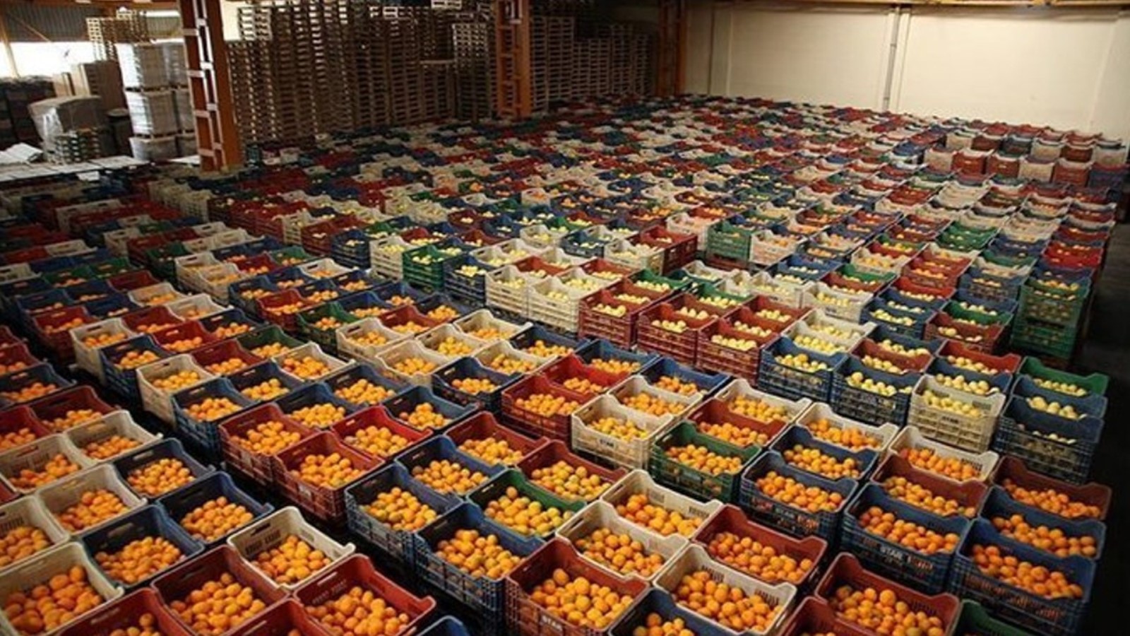 Fissato a 616.278,55 lire il limite monetario per le controversie tra produttori e commercianti di ortofrutta
