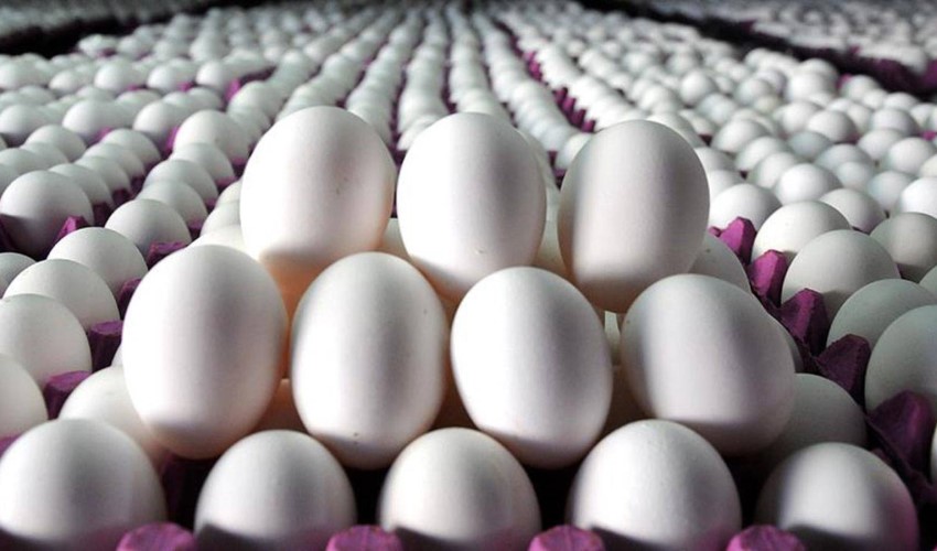 Yoksulların temel beslenme unsuru: Yumurtanın tanesi 4 TL'ye dayandı