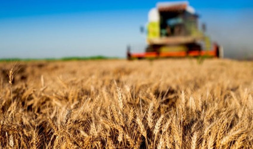 Secondo i dati TÜİK, l'indice dei prezzi dei fattori produttivi agricoli è aumentato del 40,11% su base annua e del 2,06% su base mensile a ottobre
