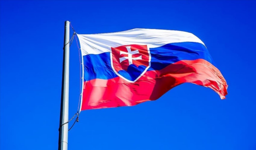 Slovakya'da, saldırı hazırlığında olan bir kişi yakalandı