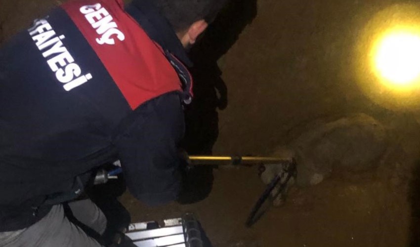 Cane cade in una buca di tre metri e viene salvato