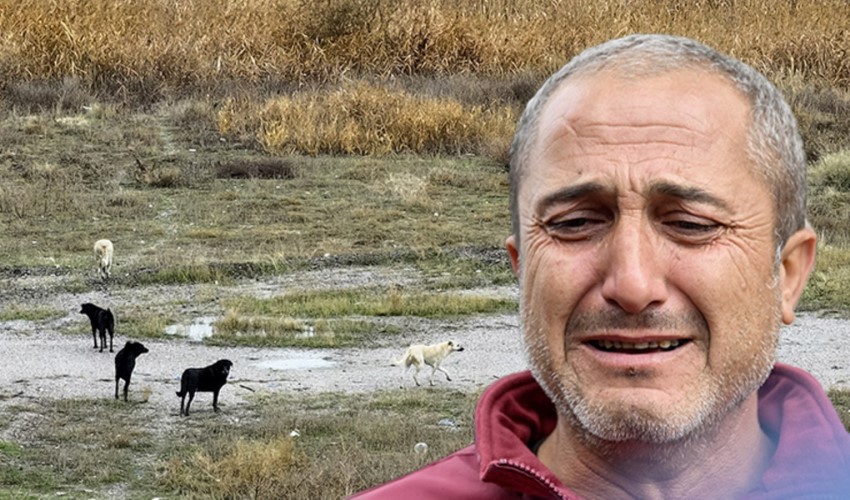 Köpek saldırısında ağır yaralanan çocuğun babasından yürek burkan sözler: Benim çocuğumu ısırmamışlar, resmen yemişler