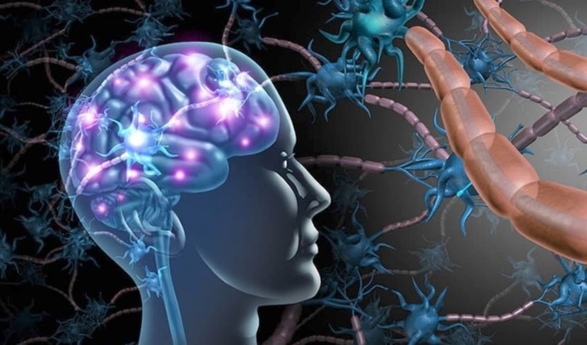 Una ricerca mostra chi ha portato in Europa i geni che aumentano il rischio di sclerosi multipla