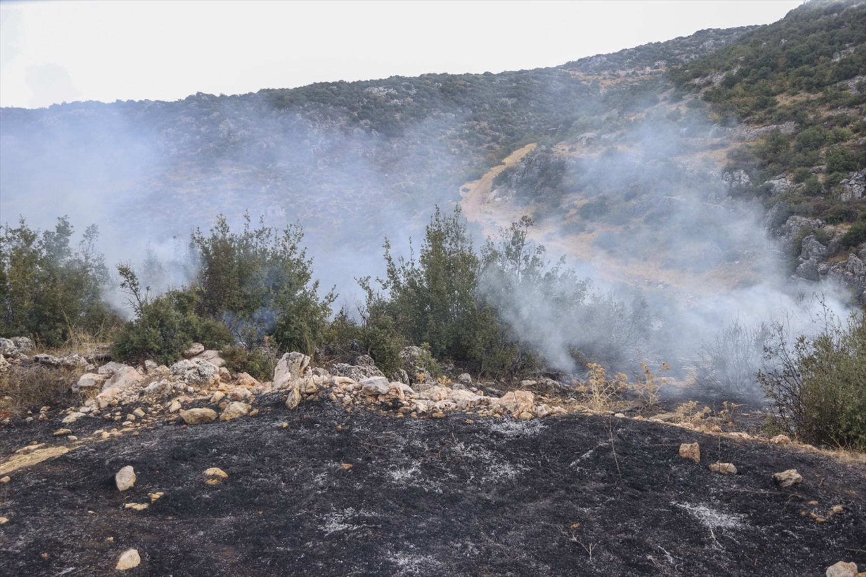 Gaziantep'te orman yangını: Ekipler olay yerinde