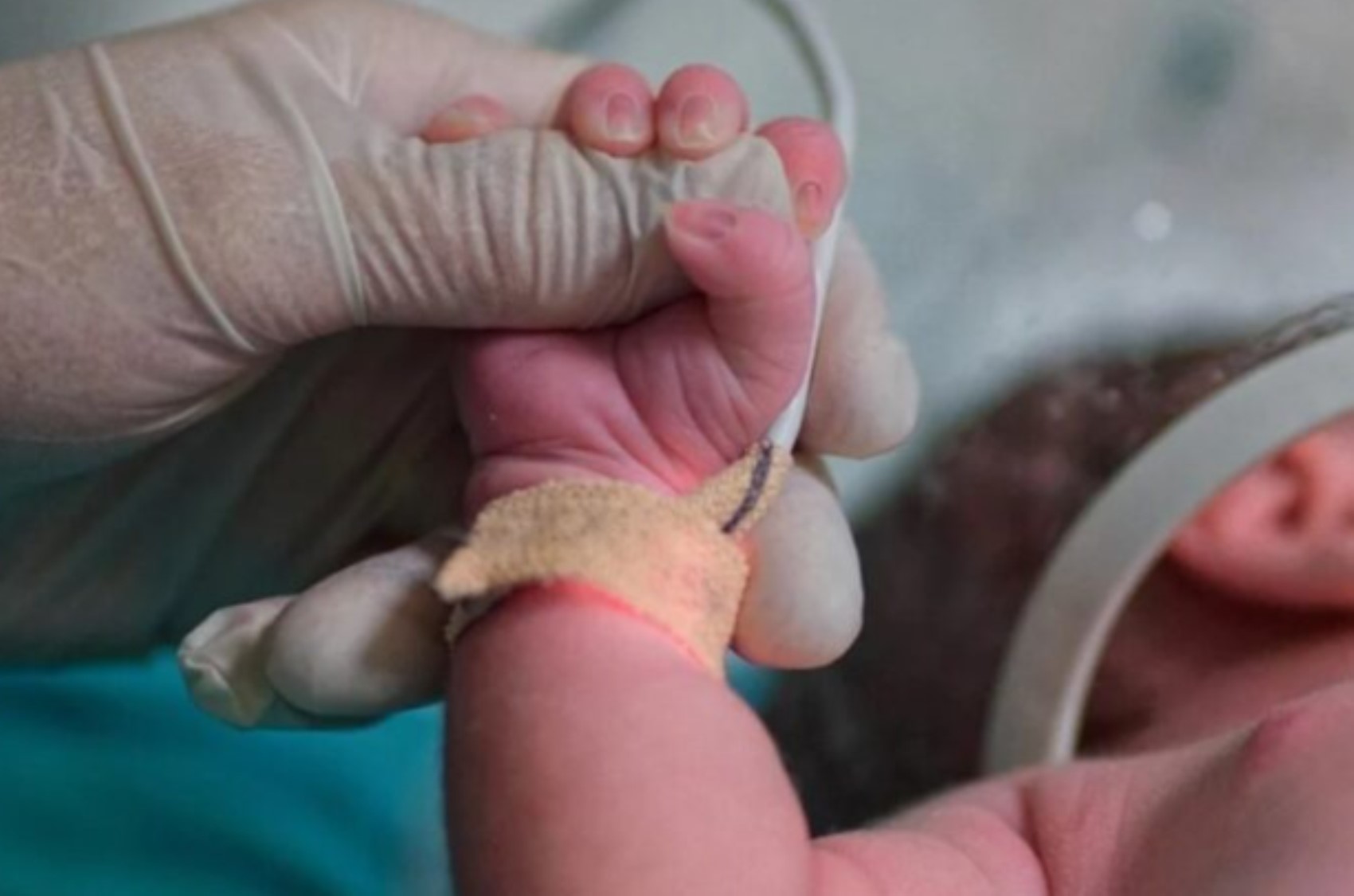 Parla il padre vittima della banda dei neonati: 'Hanno preso i soldi e il giorno dopo ci hanno dato la notizia della morte'