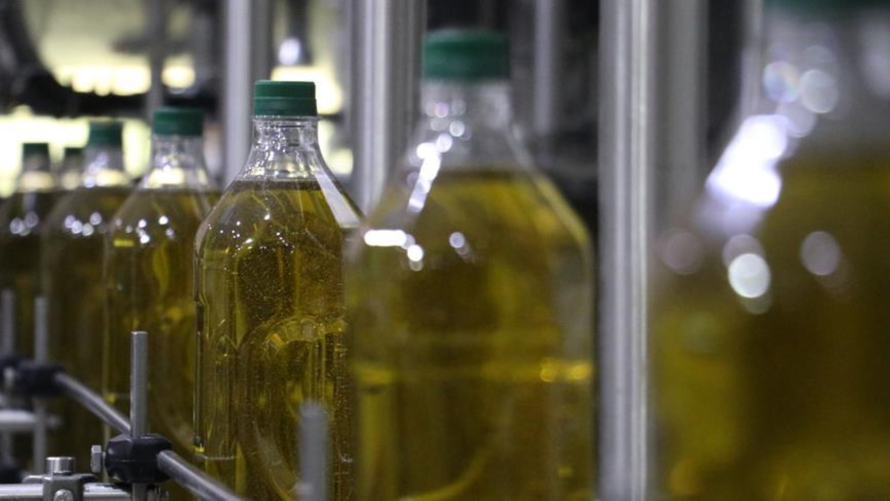 Olio di semi mescolato all'olio d'oliva in 21 marchi: l'azienda che spicca nella lista delle contraffazioni