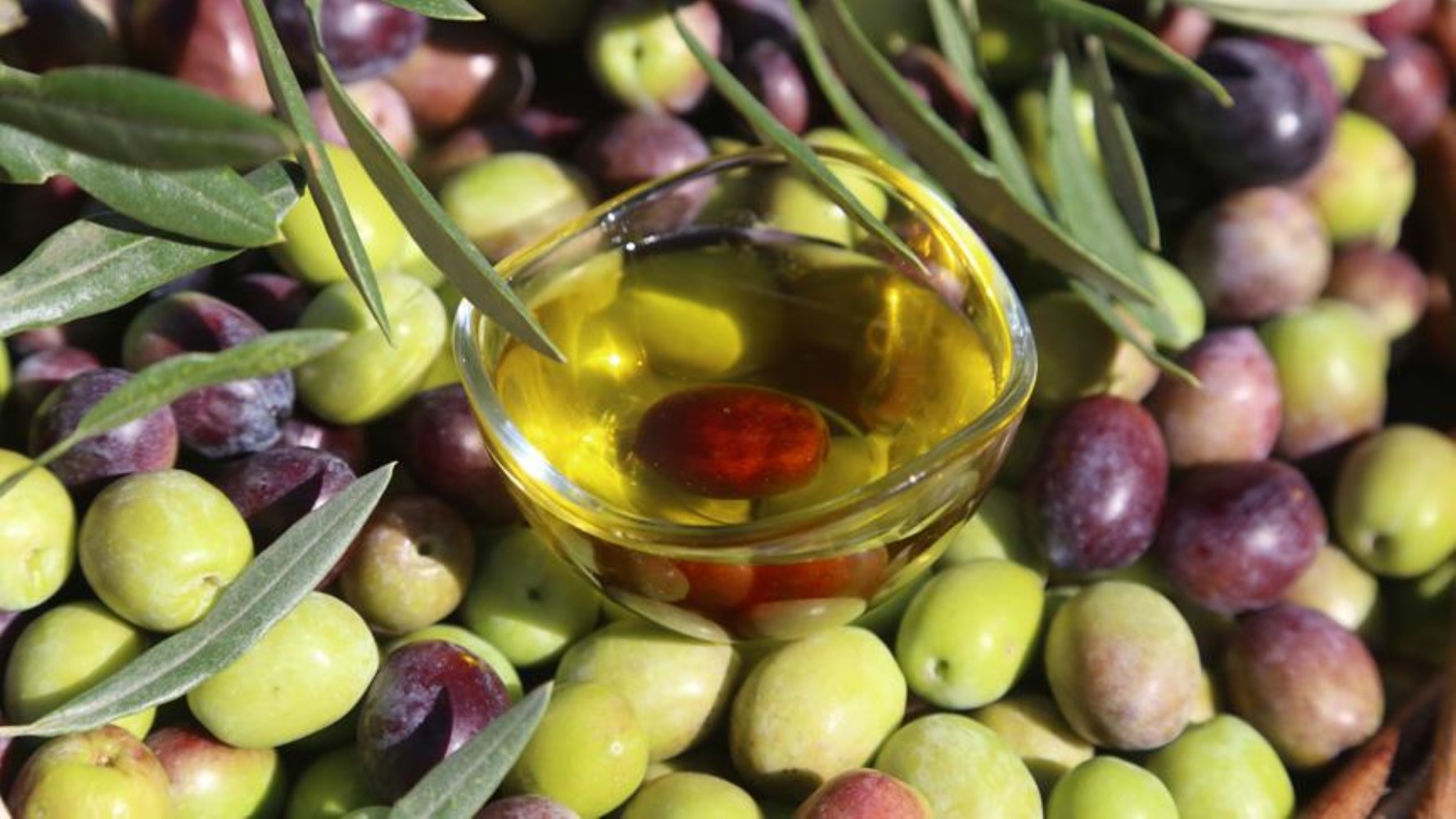 Olio di semi mescolato all'olio d'oliva in 21 marchi: l'azienda che spicca nella lista delle contraffazioni