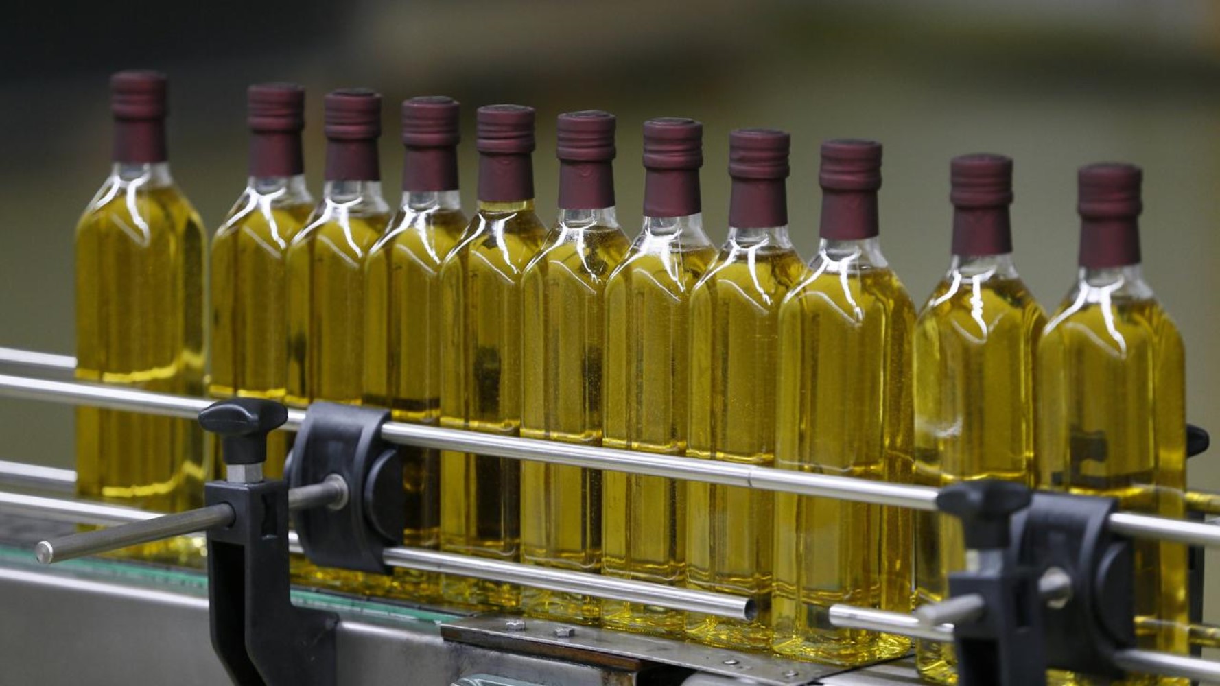Olio di semi mescolato all'olio d'oliva in 21 marchi: l'azienda che spicca nella lista delle contraffazioni