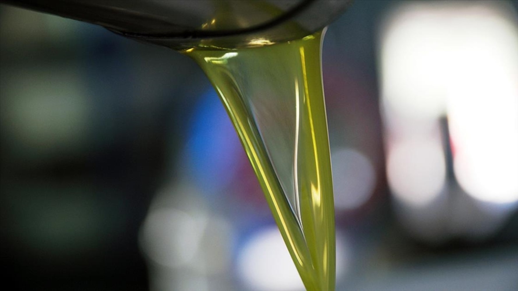 Olio di semi mescolato all'olio d'oliva in 21 marchi: l'azienda che spicca nella lista delle contraffazioni