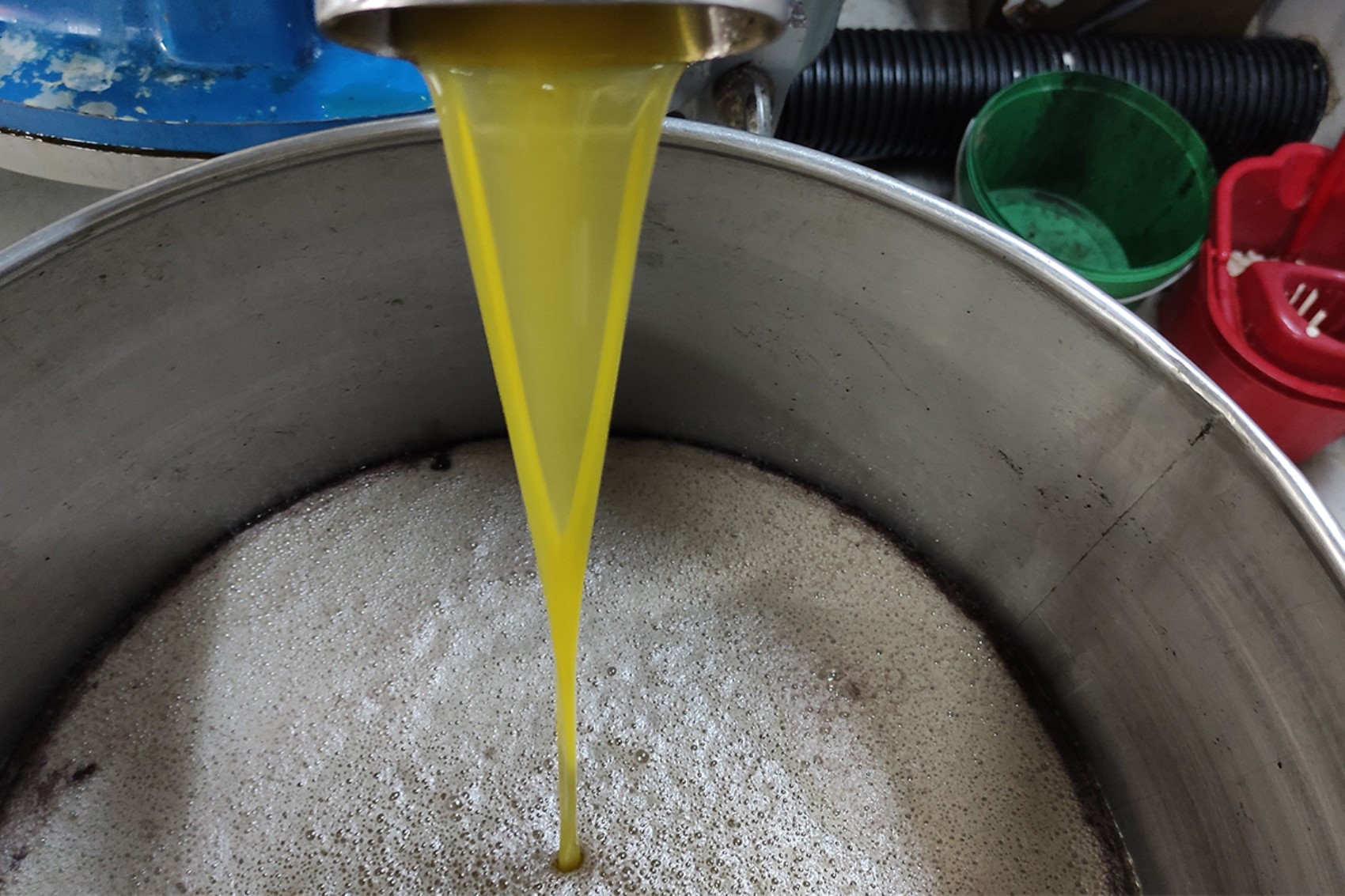 Olio di semi mescolato all'olio d'oliva in 21 marchi: l'azienda che spicca nella lista delle contraffazioni