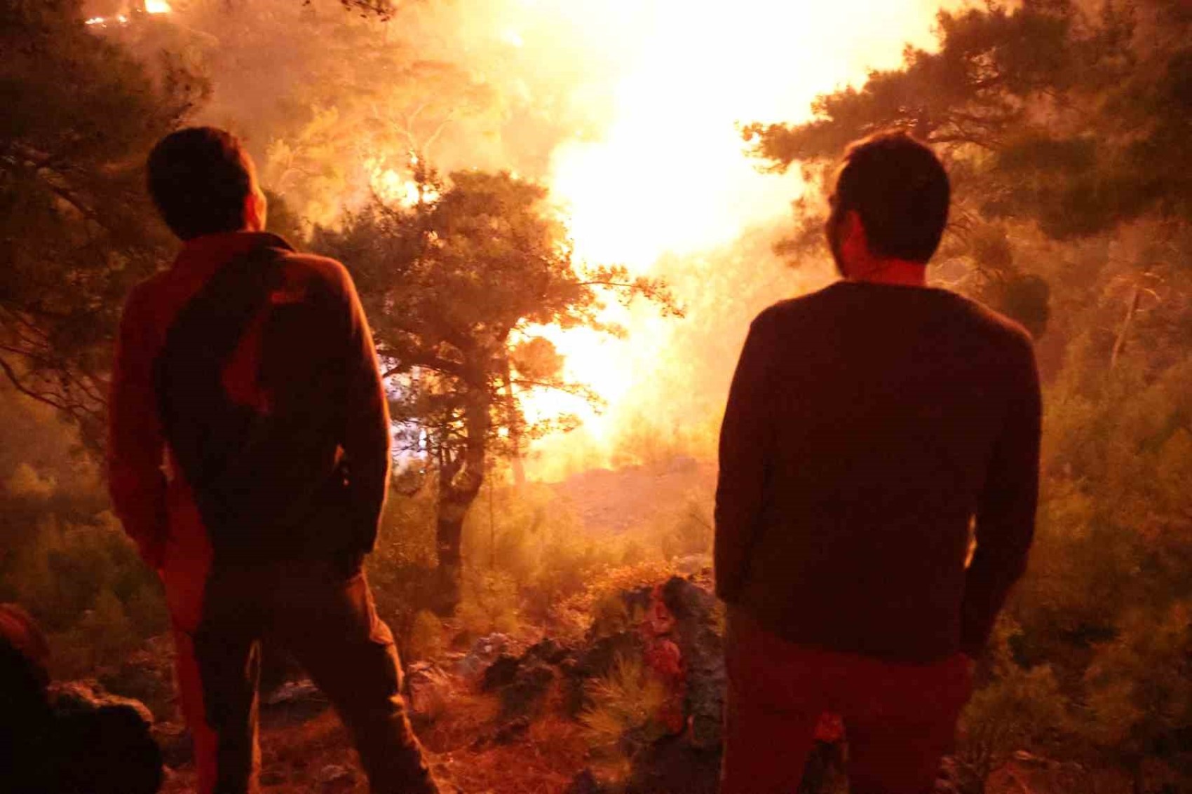 Muğla'nın 3 ilçesinde orman yangını! İki hanede 11 kişi tahliye edildi