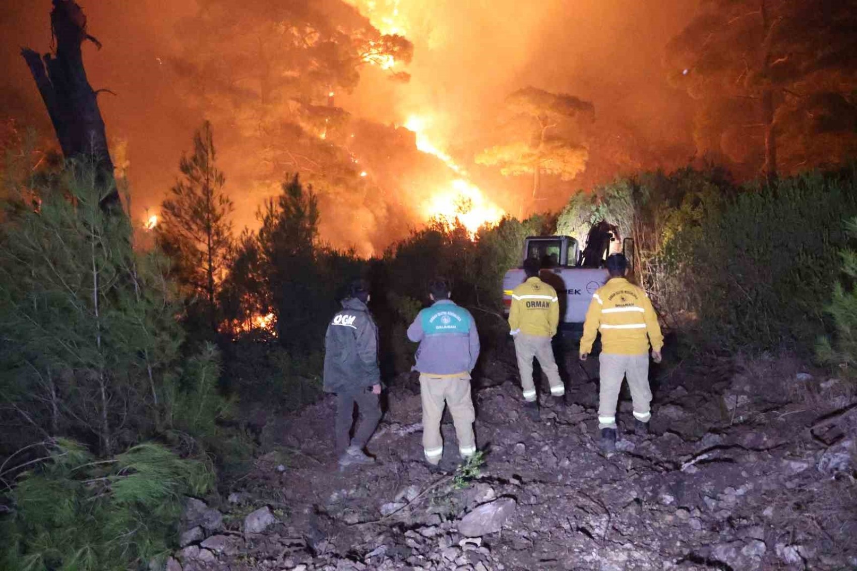 Muğla'nın 3 ilçesinde orman yangını! İki hanede 11 kişi tahliye edildi