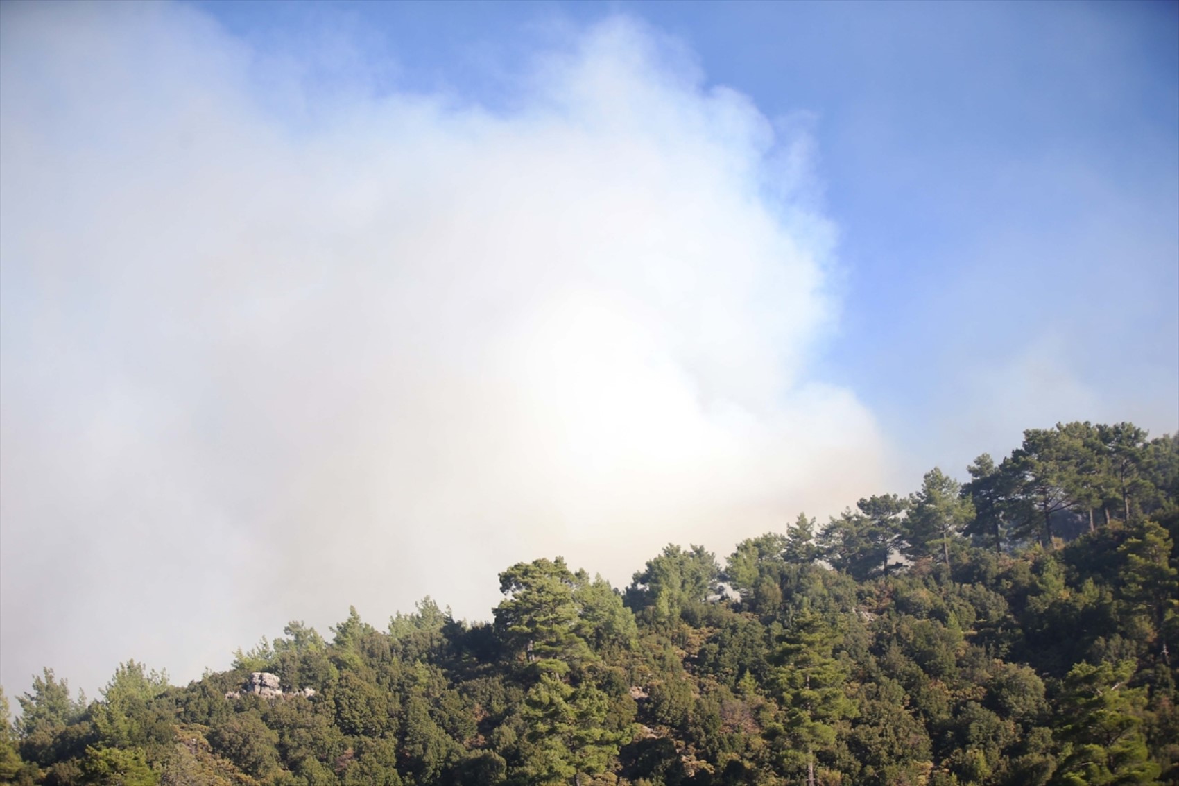 Muğla'da orman yangını! Müdahale devam ediyor