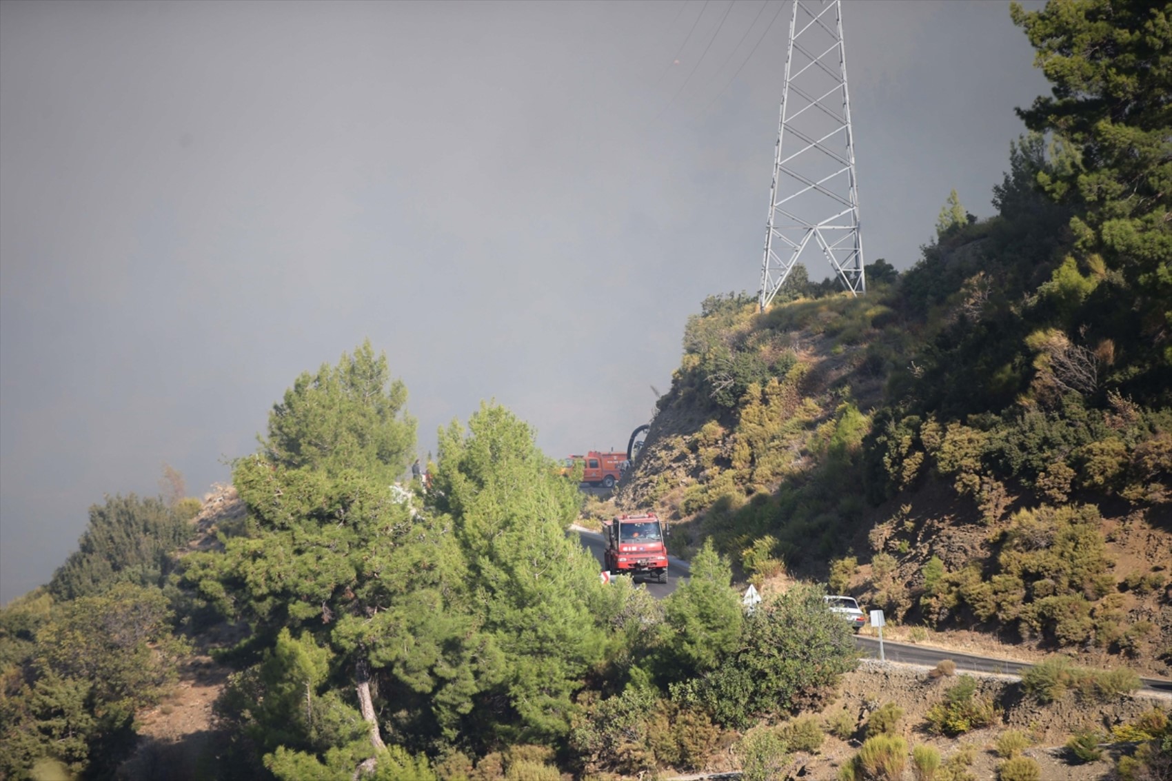 Muğla'da orman yangını! Müdahale devam ediyor