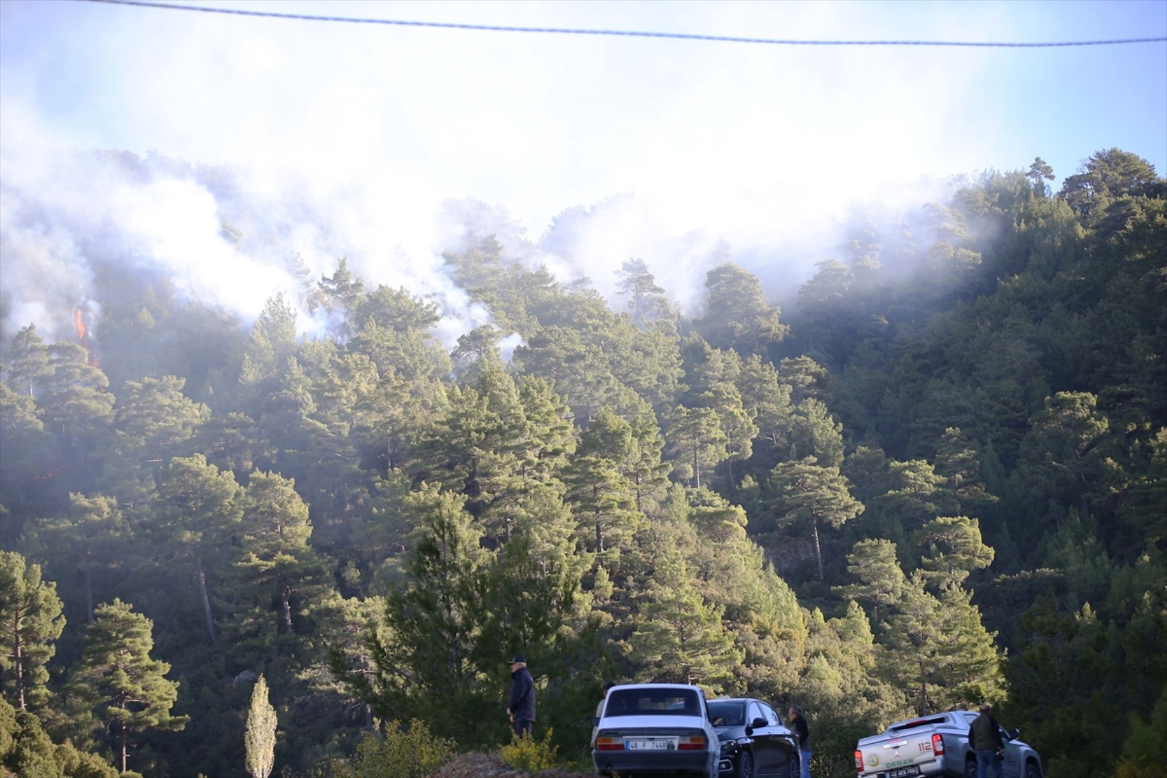 Muğla'da orman yangını! Müdahale devam ediyor