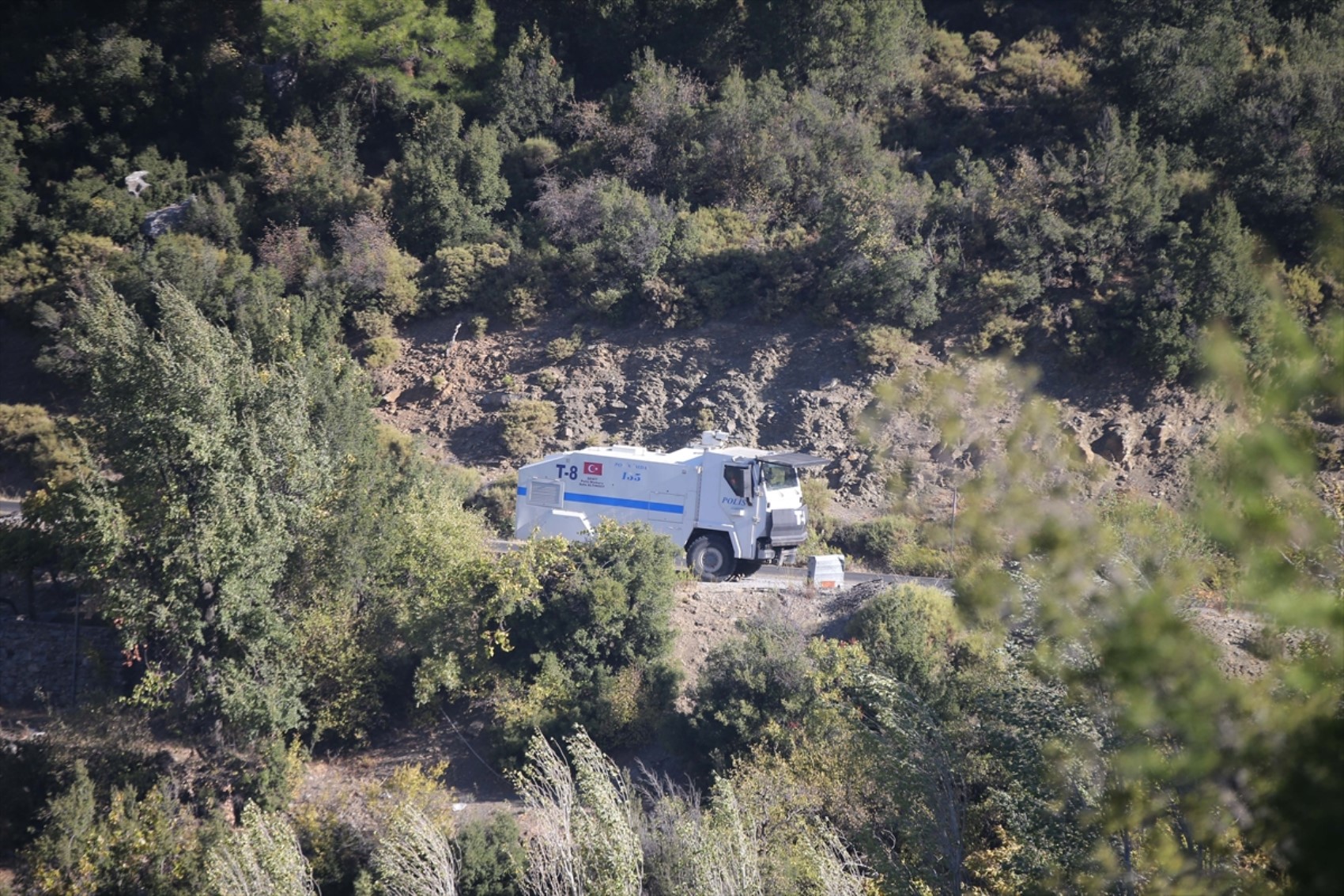 Muğla'da orman yangını! Müdahale devam ediyor