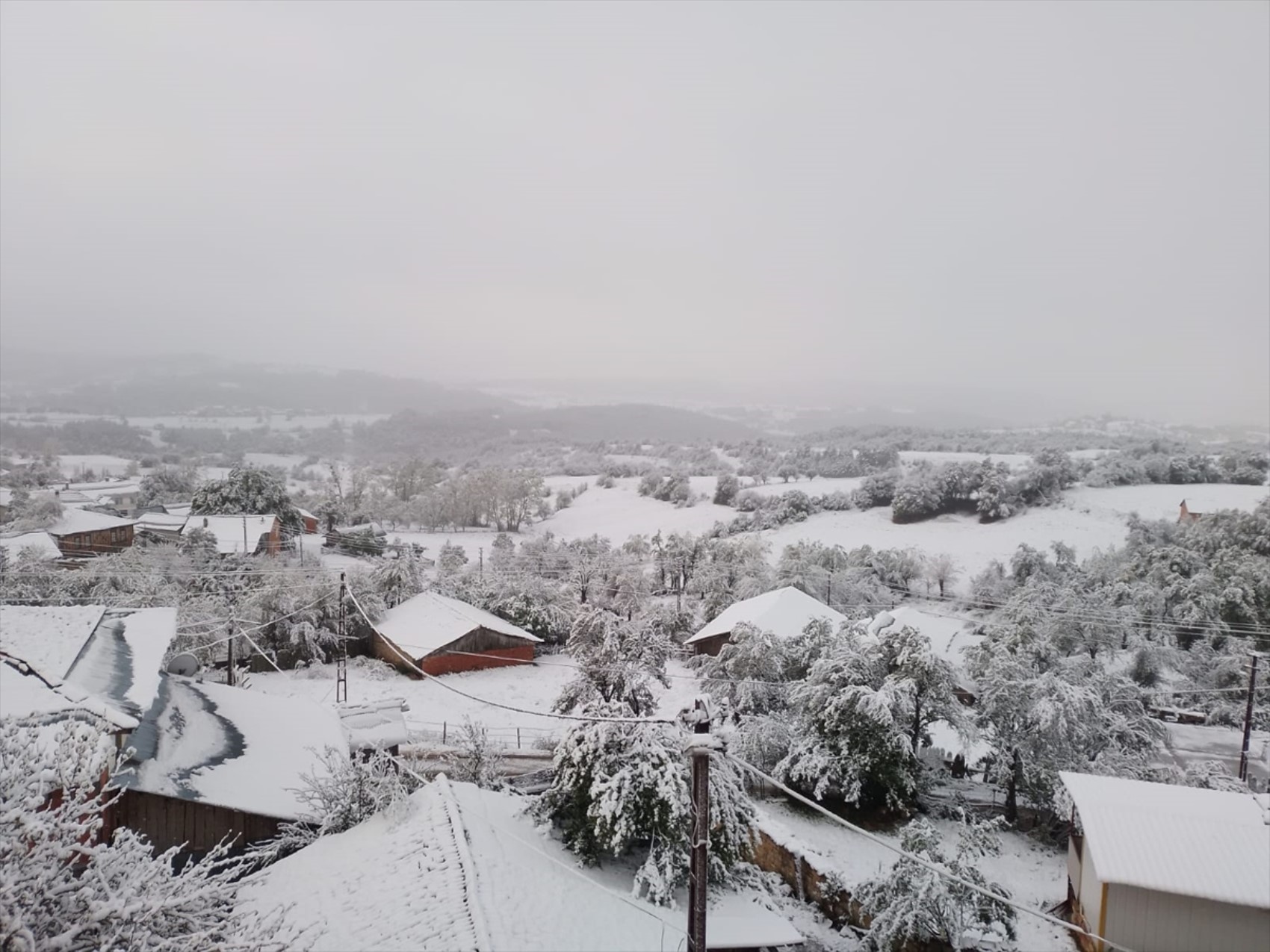 È caduta la prima neve dell'anno... Tutto si è tinto di bianco!