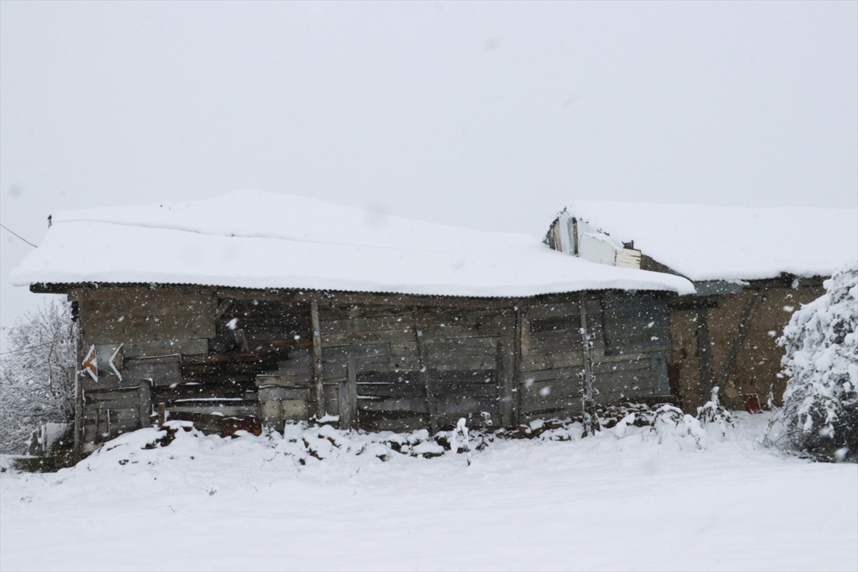 È caduta la prima neve dell'anno... Tutto si è tinto di bianco!