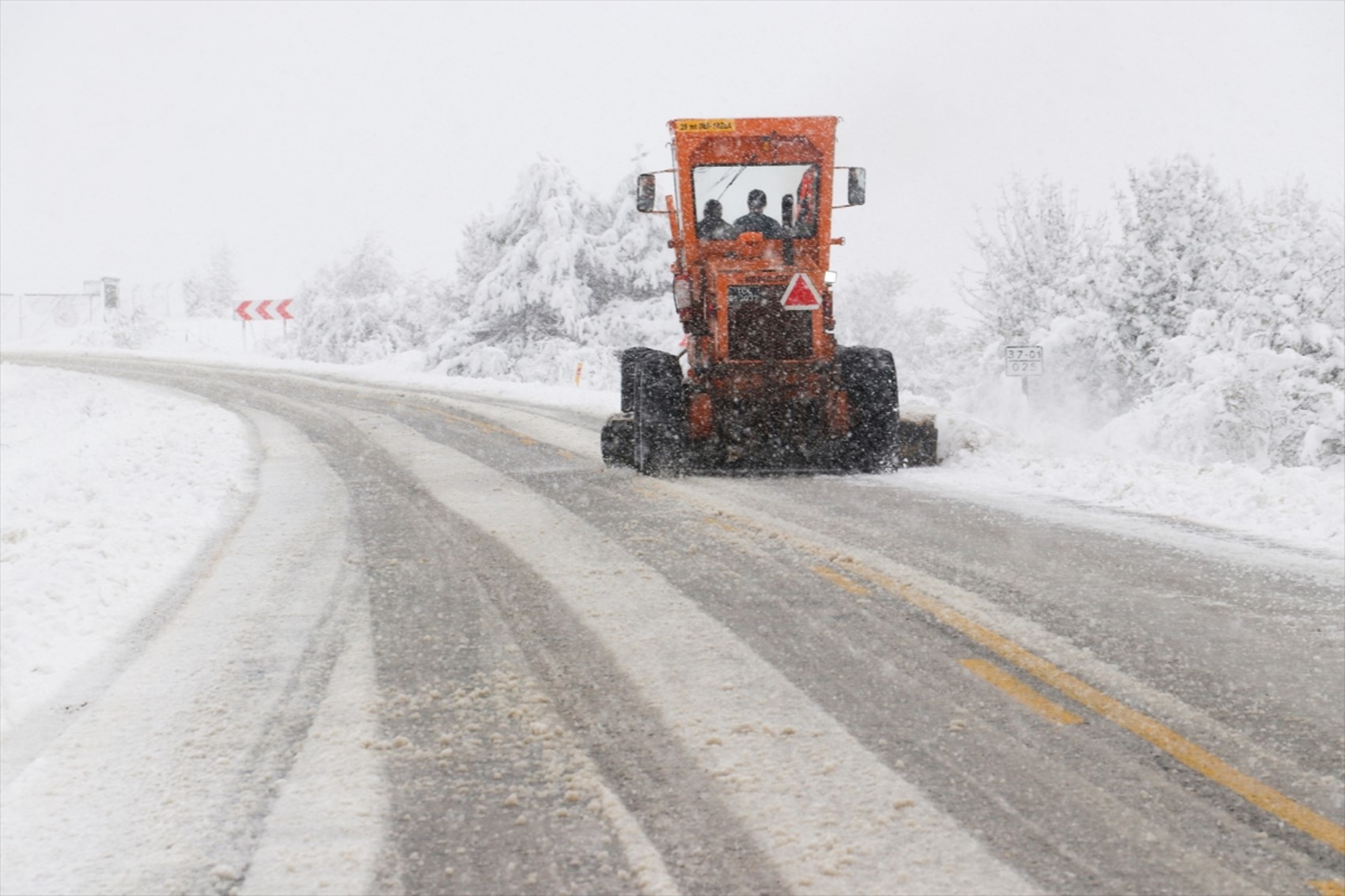È caduta la prima neve dell'anno... Tutto si è tinto di bianco!