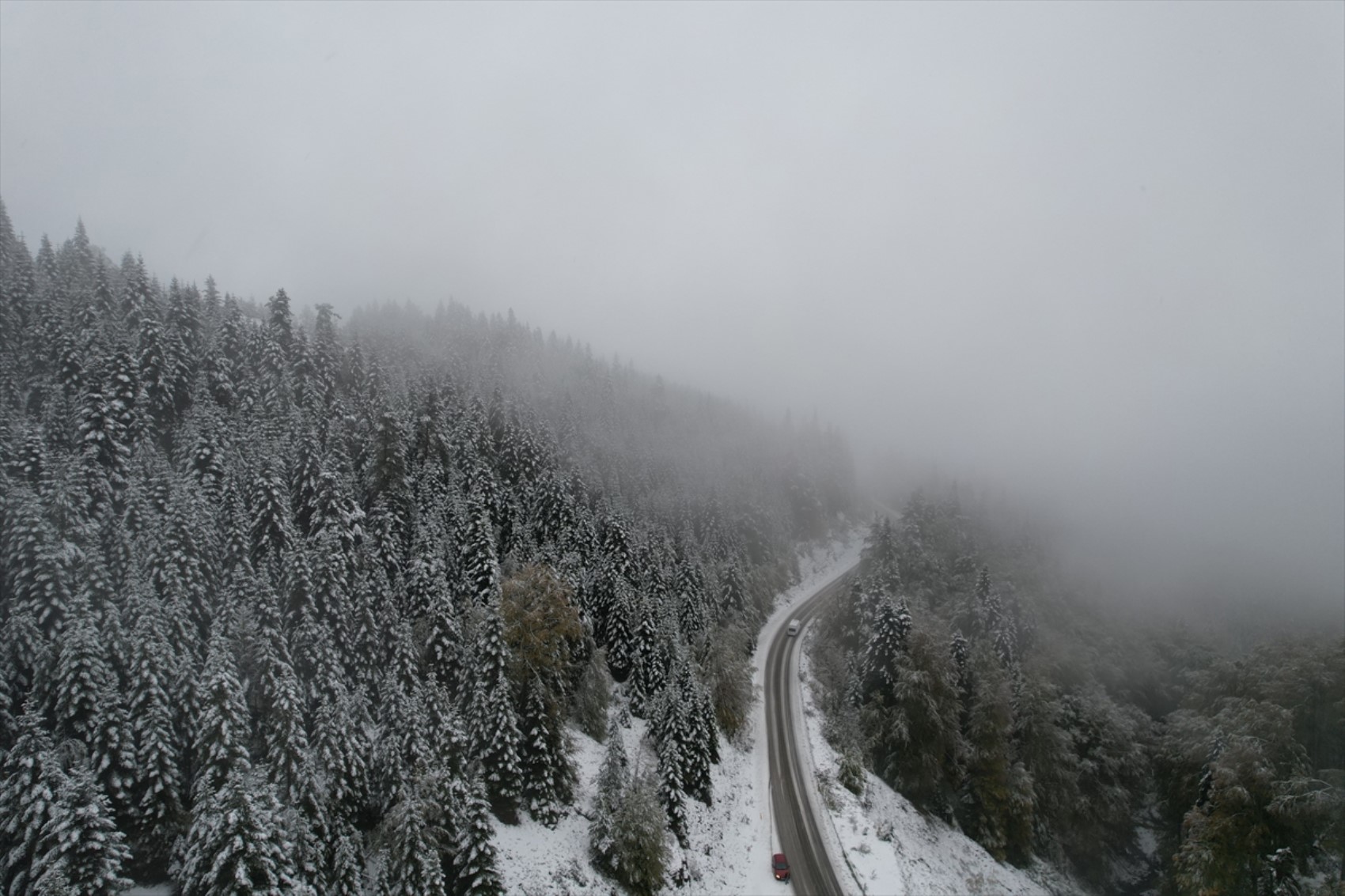 È caduta la prima neve dell'anno... Tutto si è tinto di bianco!