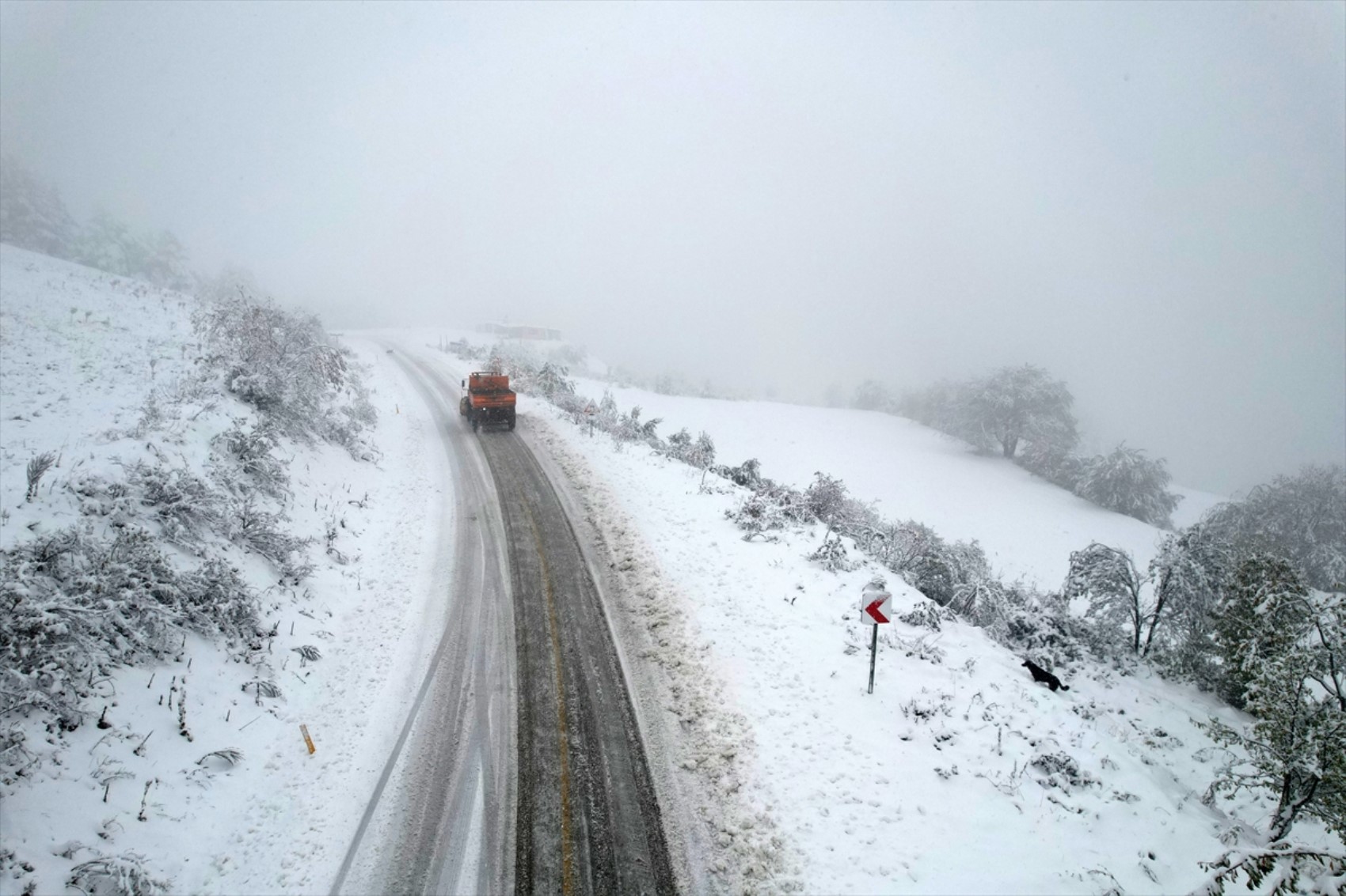 È caduta la prima neve dell'anno... Tutto si è tinto di bianco!