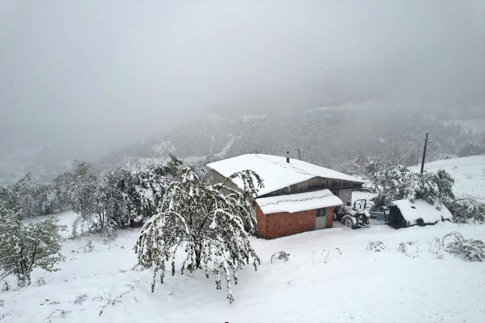 È caduta la prima neve dell'anno... Tutto si è tinto di bianco!