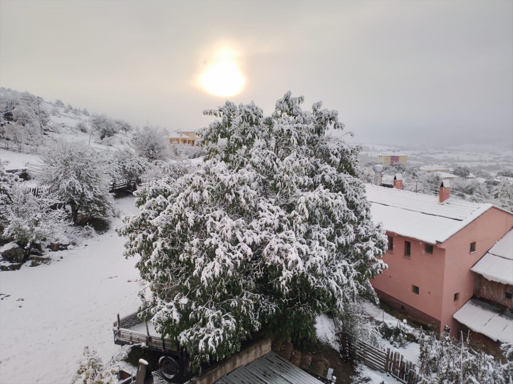 È caduta la prima neve dell'anno... Tutto si è tinto di bianco!