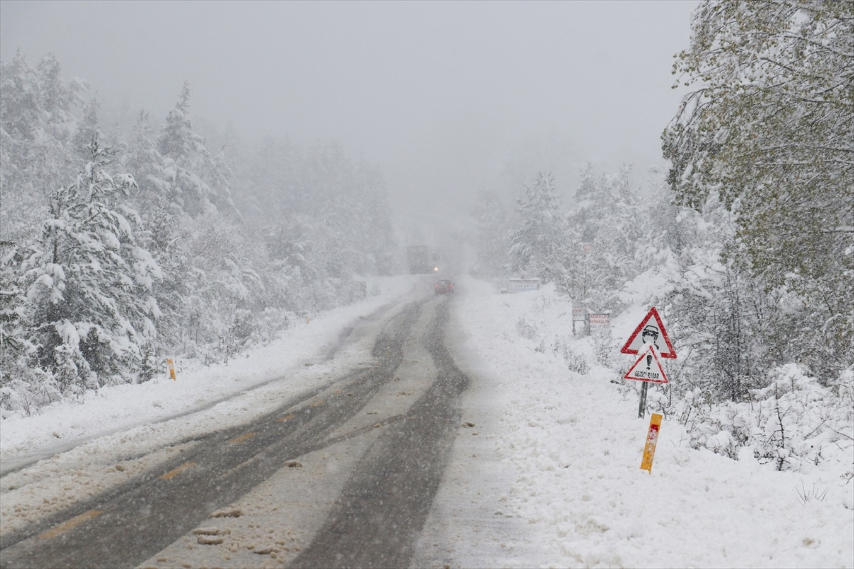 È caduta la prima neve dell'anno... Tutto si è tinto di bianco!