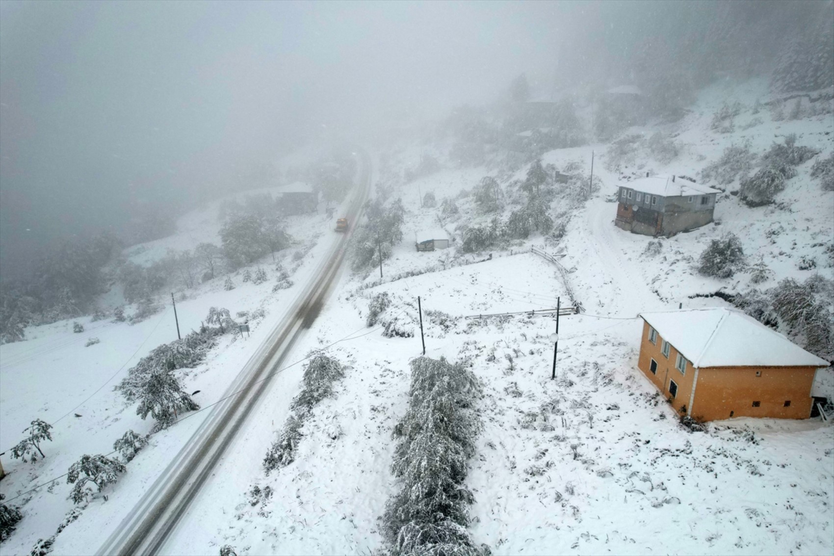È caduta la prima neve dell'anno... Tutto si è tinto di bianco!