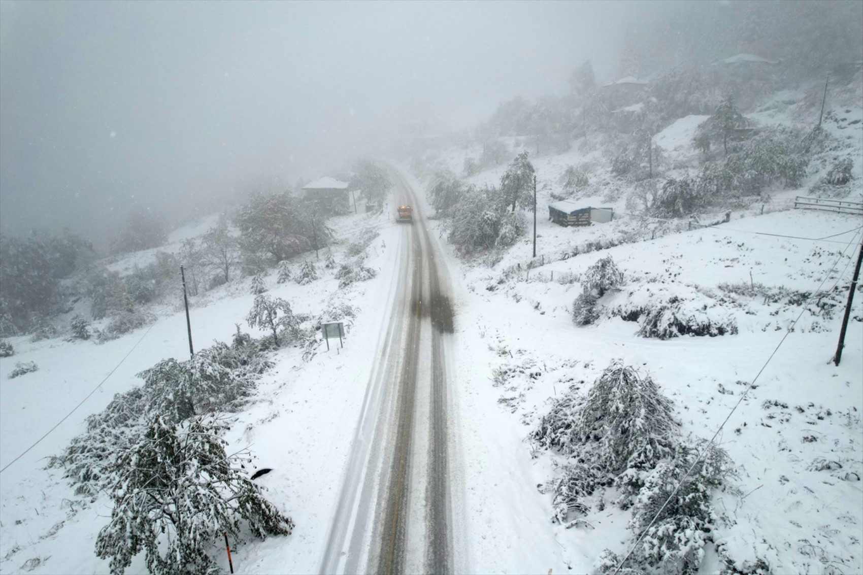 È caduta la prima neve dell'anno... Tutto si è tinto di bianco!