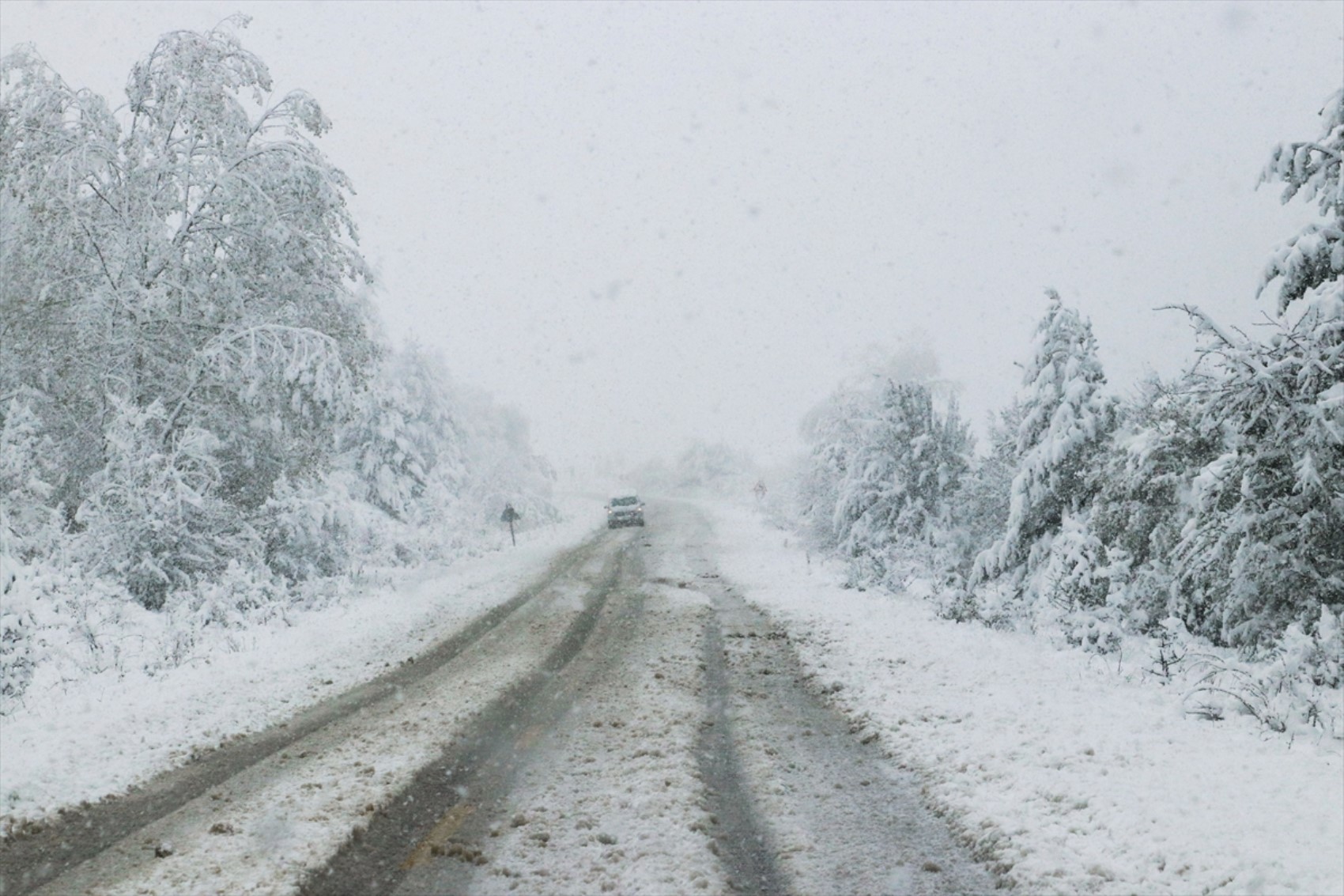 È caduta la prima neve dell'anno... Tutto si è tinto di bianco!