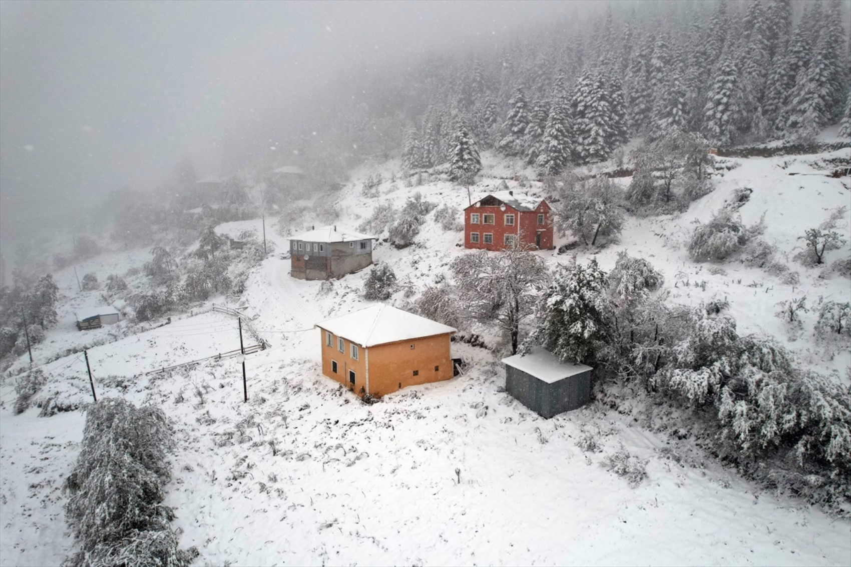 È caduta la prima neve dell'anno... Tutto si è tinto di bianco!