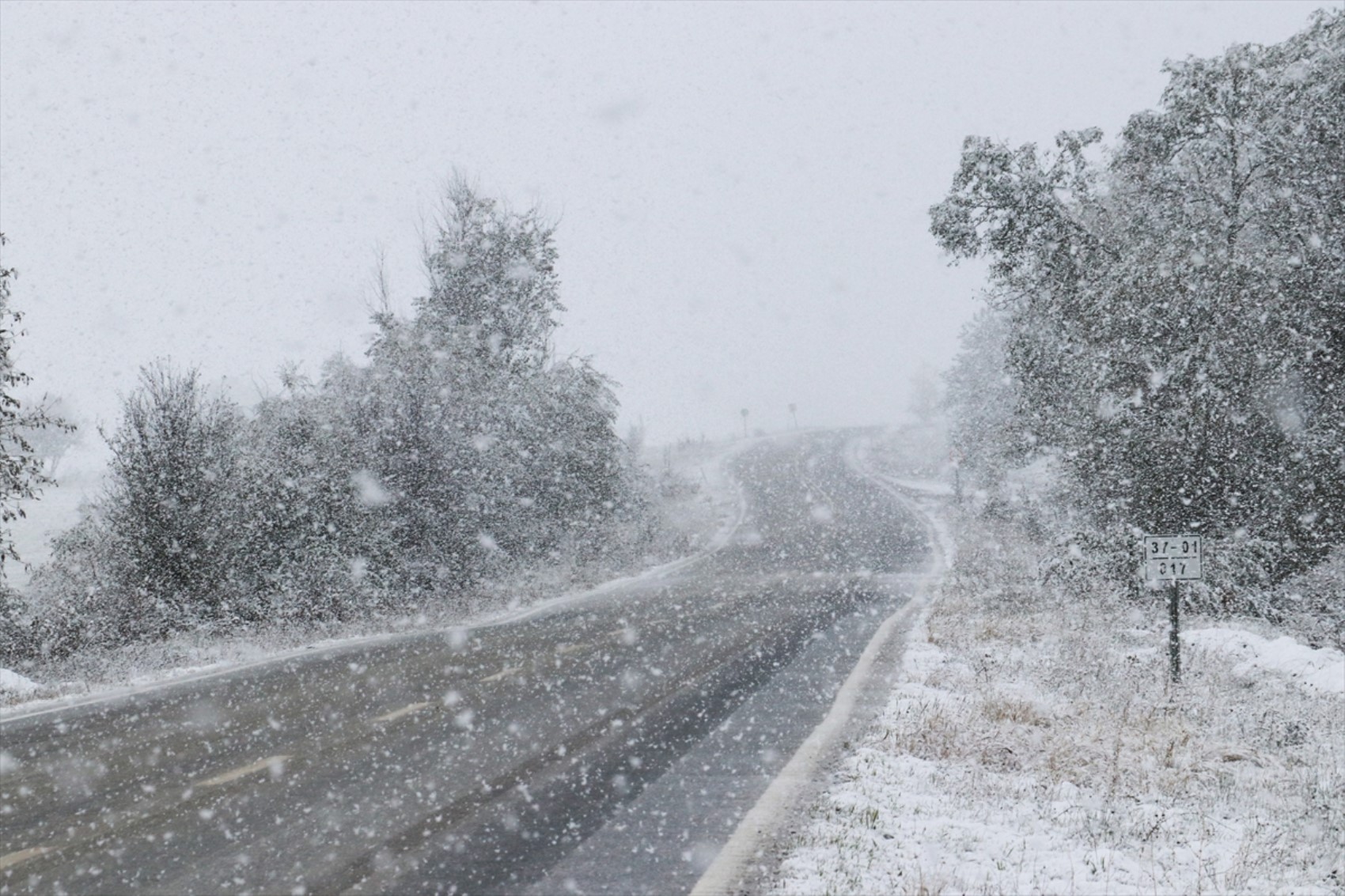 È caduta la prima neve dell'anno... Tutto si è tinto di bianco!