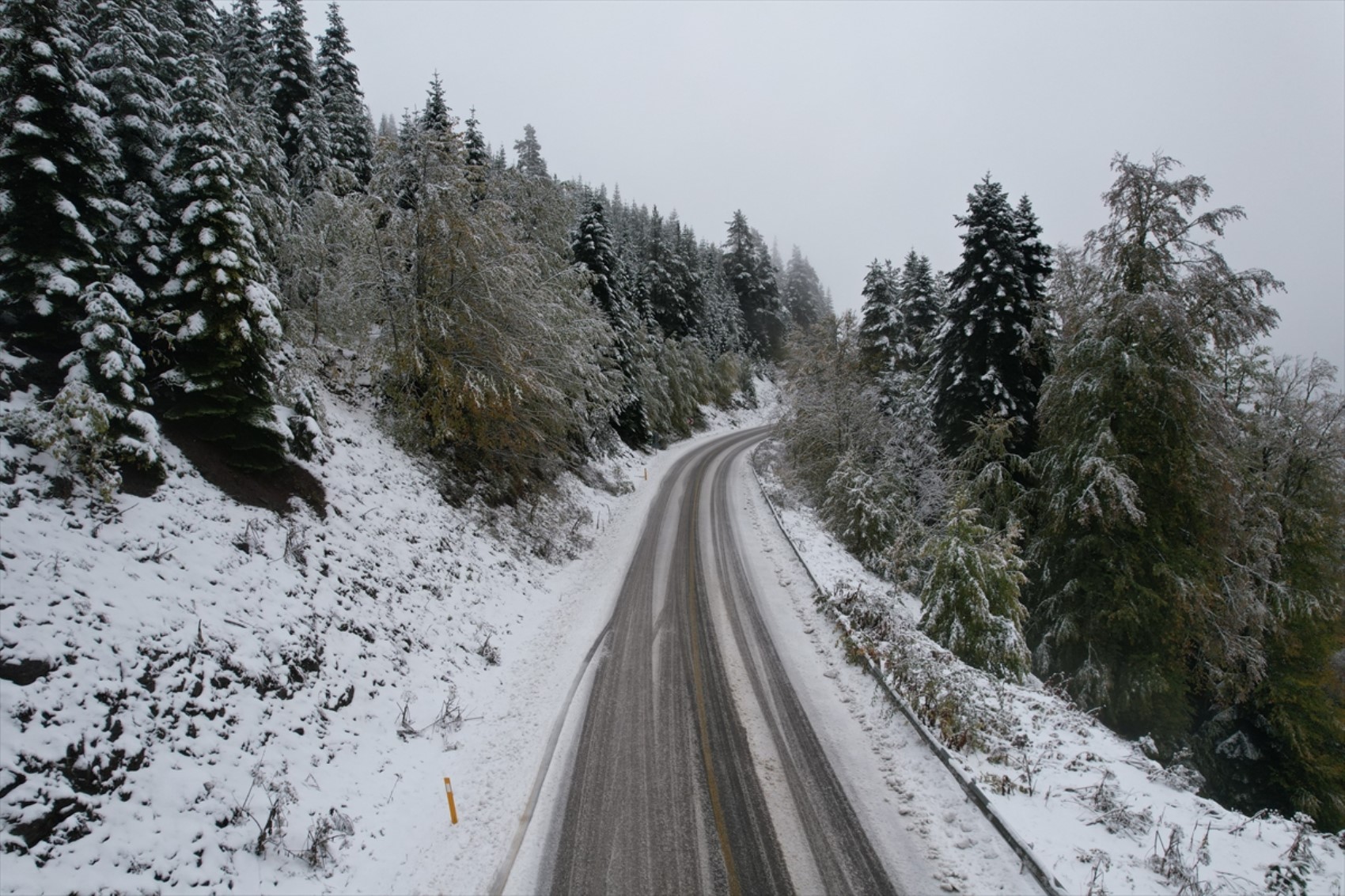 È caduta la prima neve dell'anno... Tutto si è tinto di bianco!