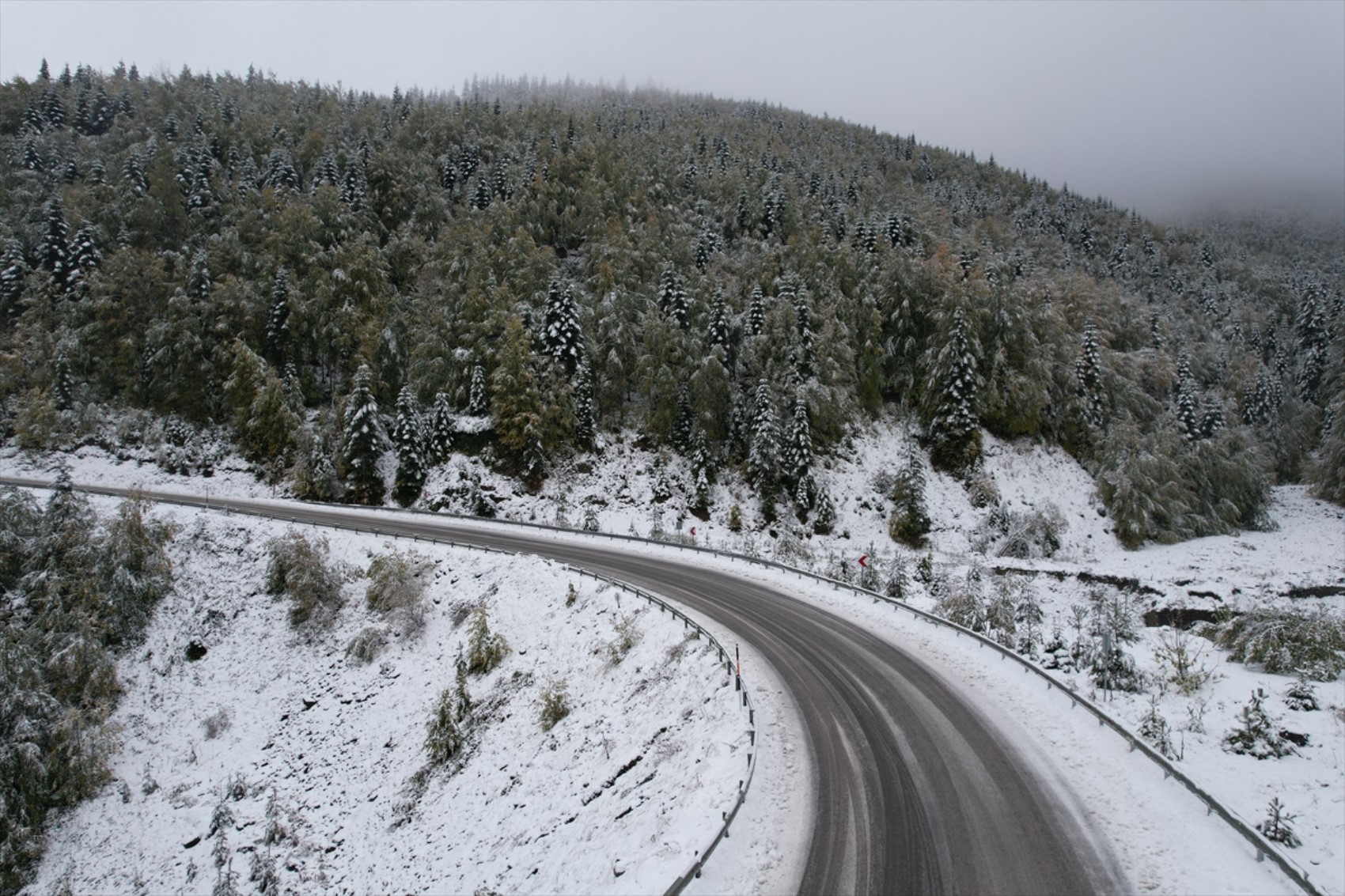 È caduta la prima neve dell'anno... Tutto si è tinto di bianco!