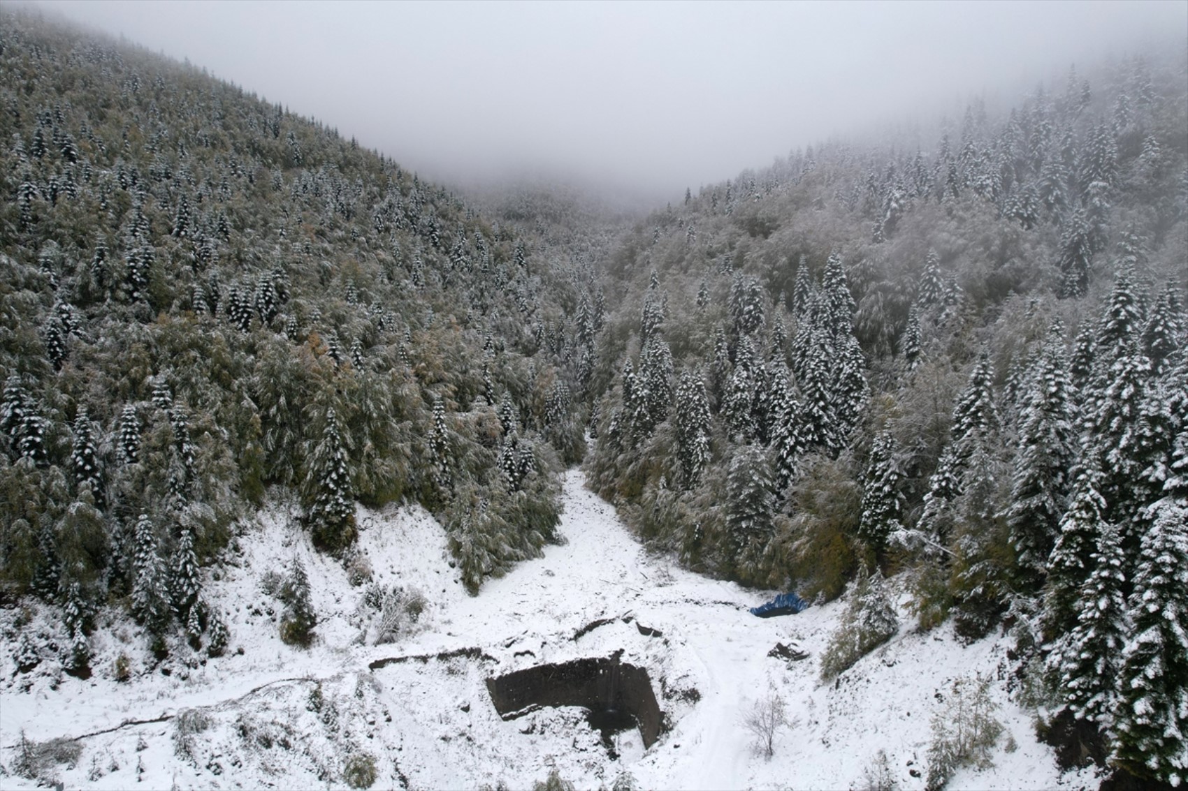 È caduta la prima neve dell'anno... Tutto si è tinto di bianco!
